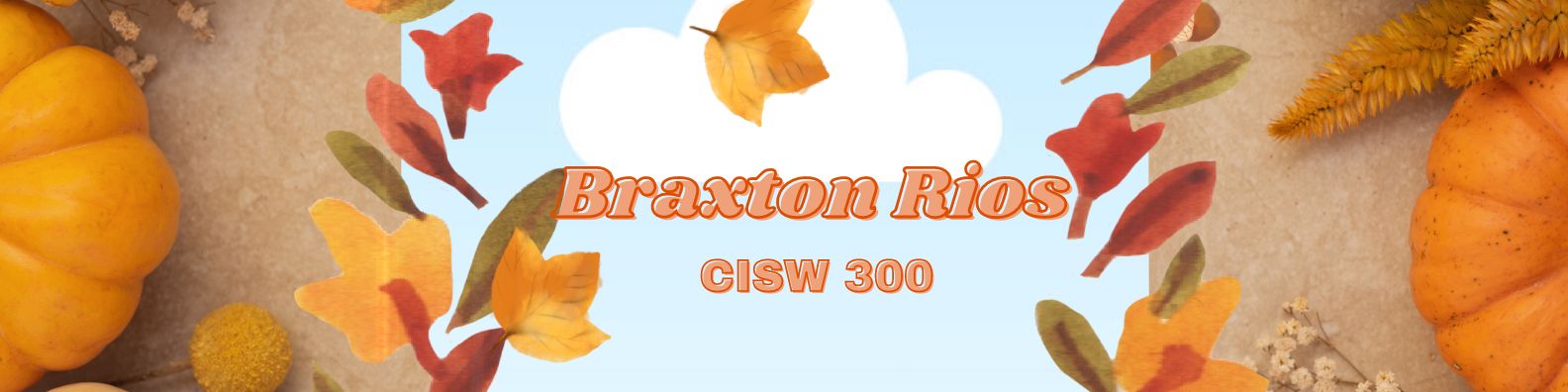 CISW 300 Banner